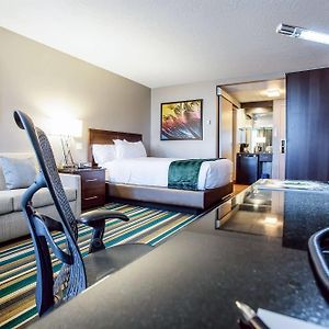 Signature Queen Room Sofa